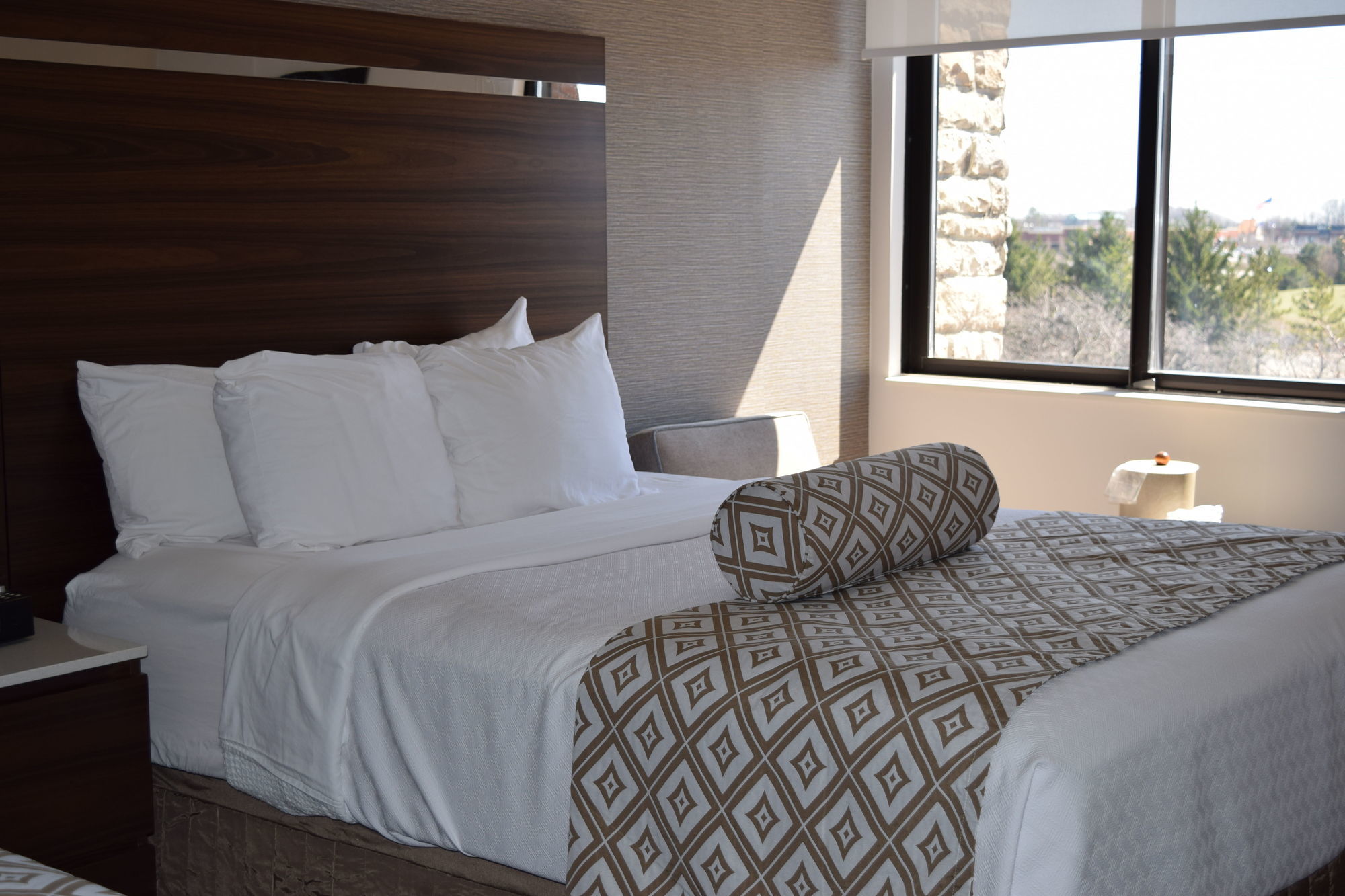 Four Points By Sheraton Detroit Novi Cameră foto